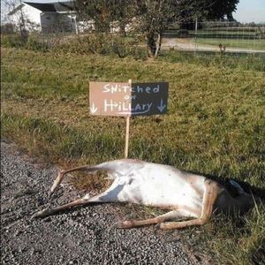 Meet your Posher, Mickey